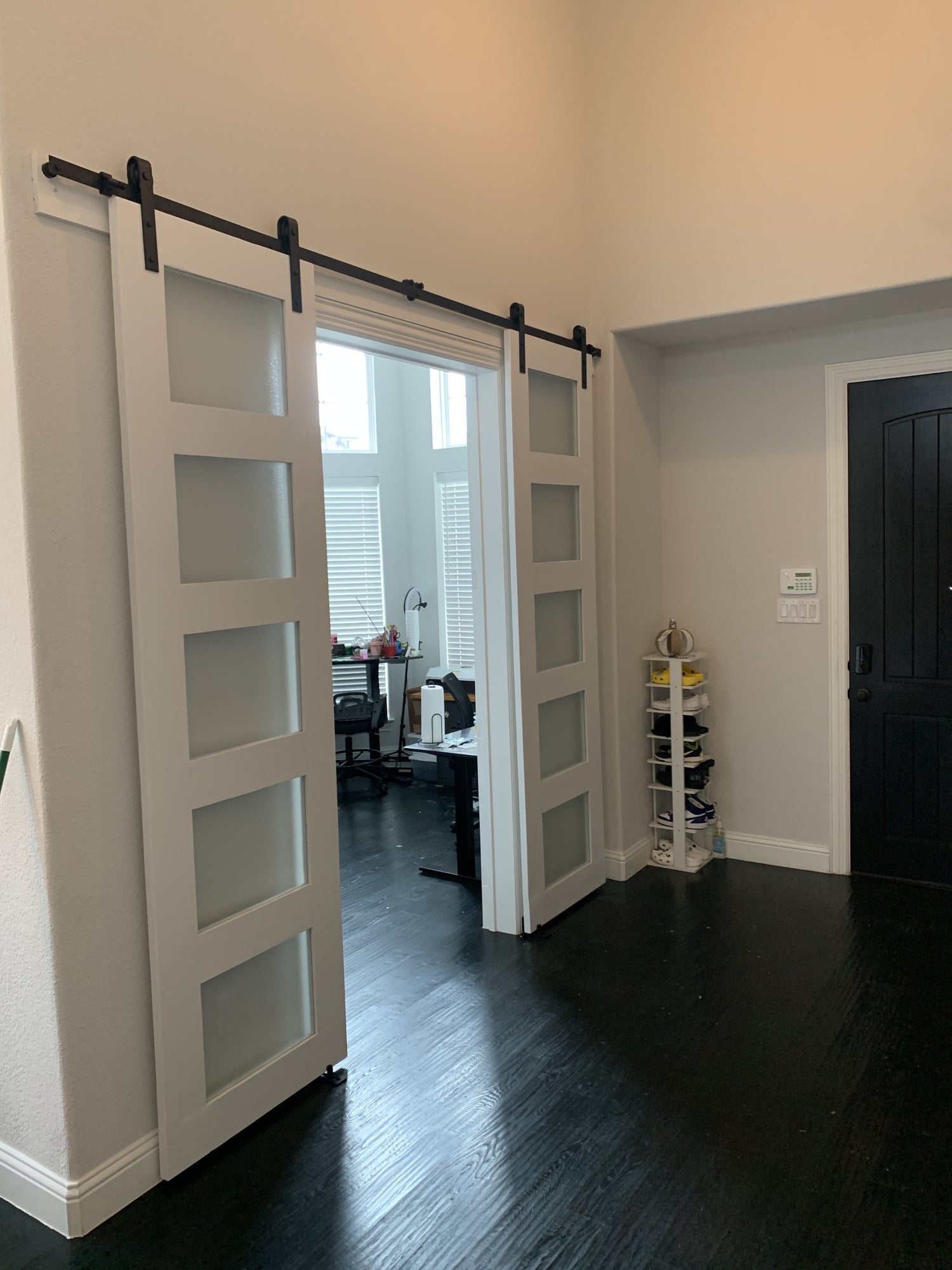 Modern Sliding Barn Door with Frosted Glass Panels