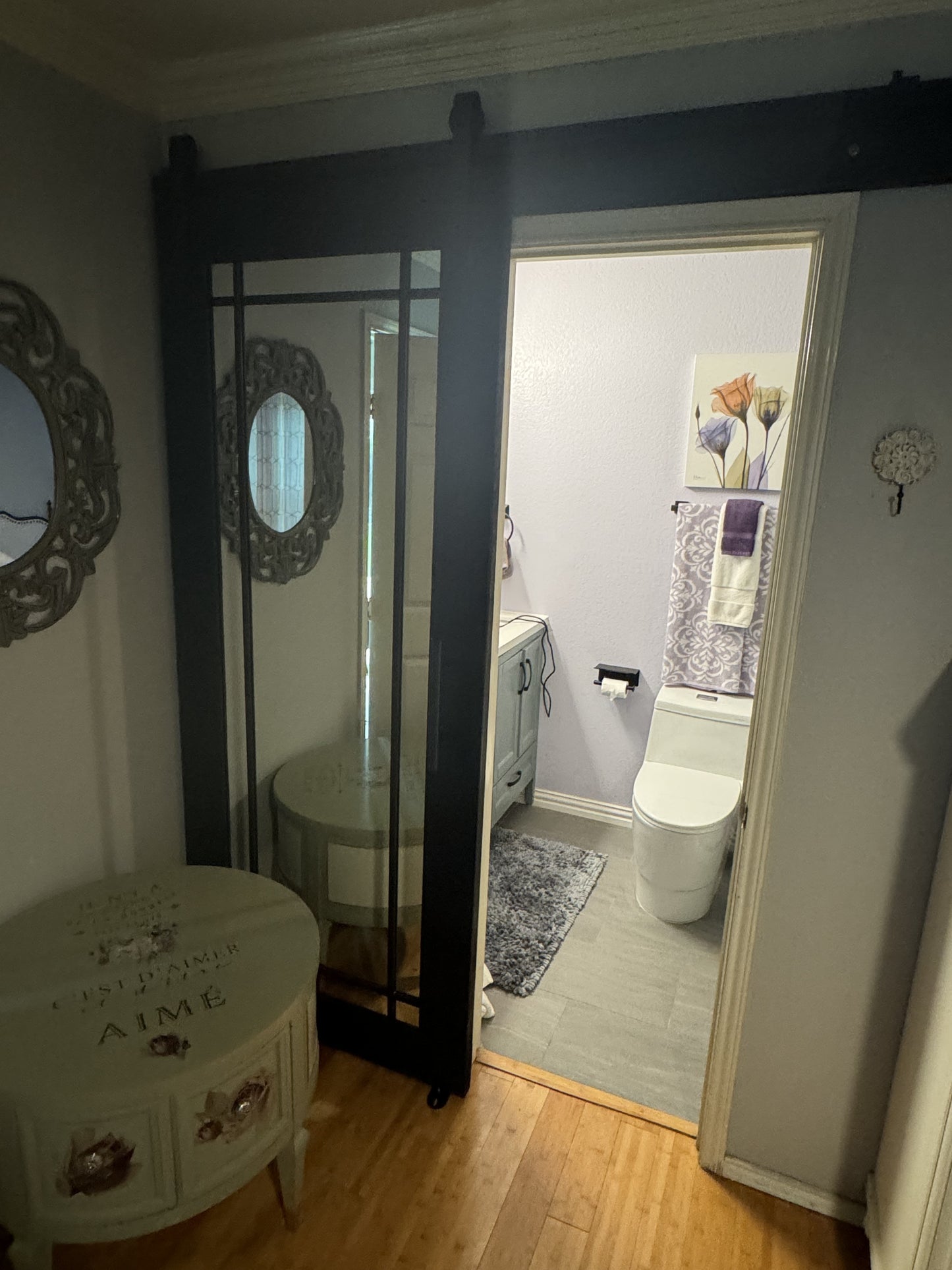 Mirror Panel Barn Door with Sliding System