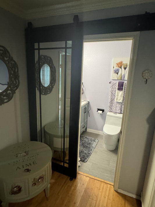Mirror Panel Barn Door with Sliding System