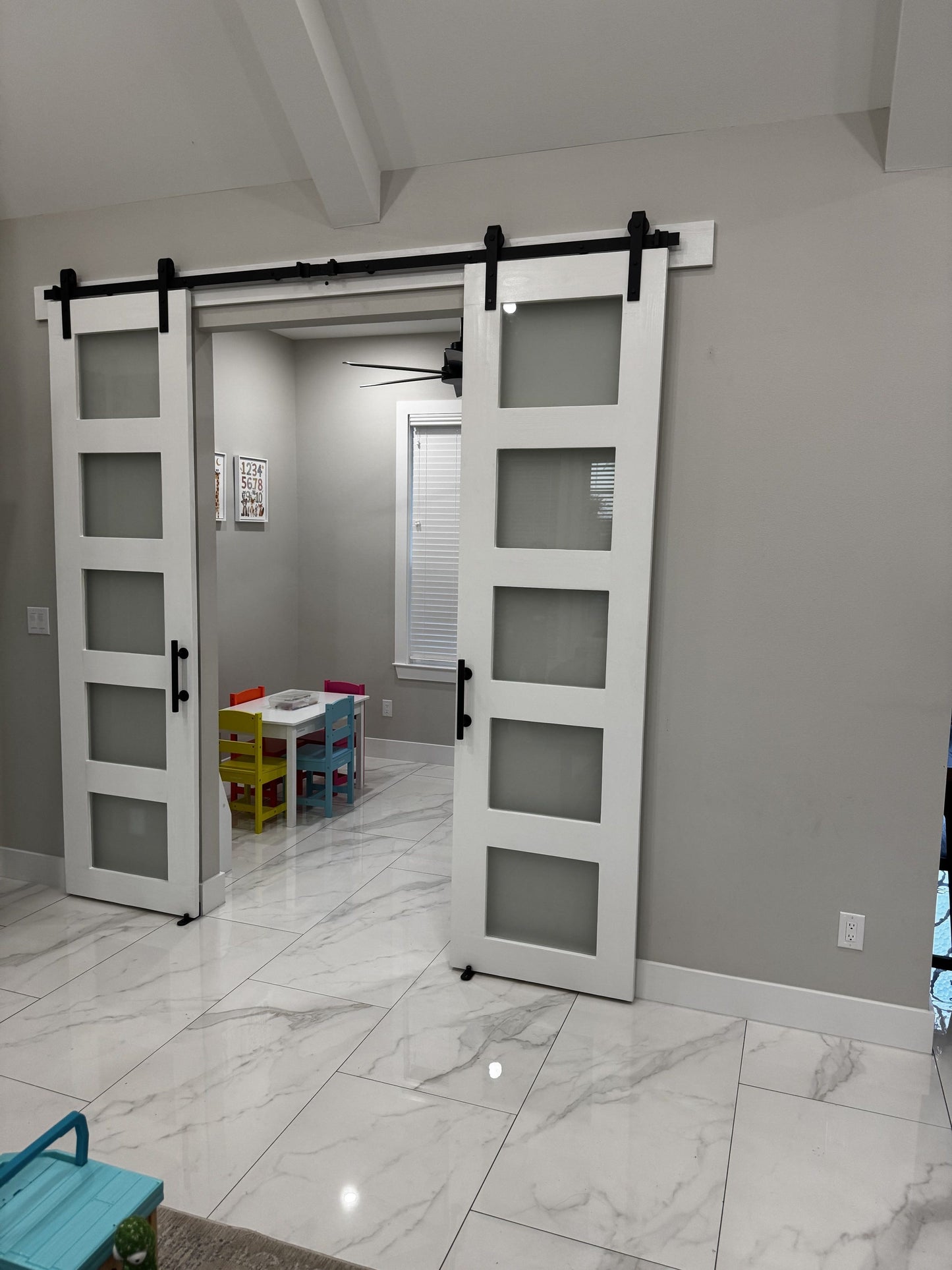 Modern Barn Door with Frosted Glass Panels
