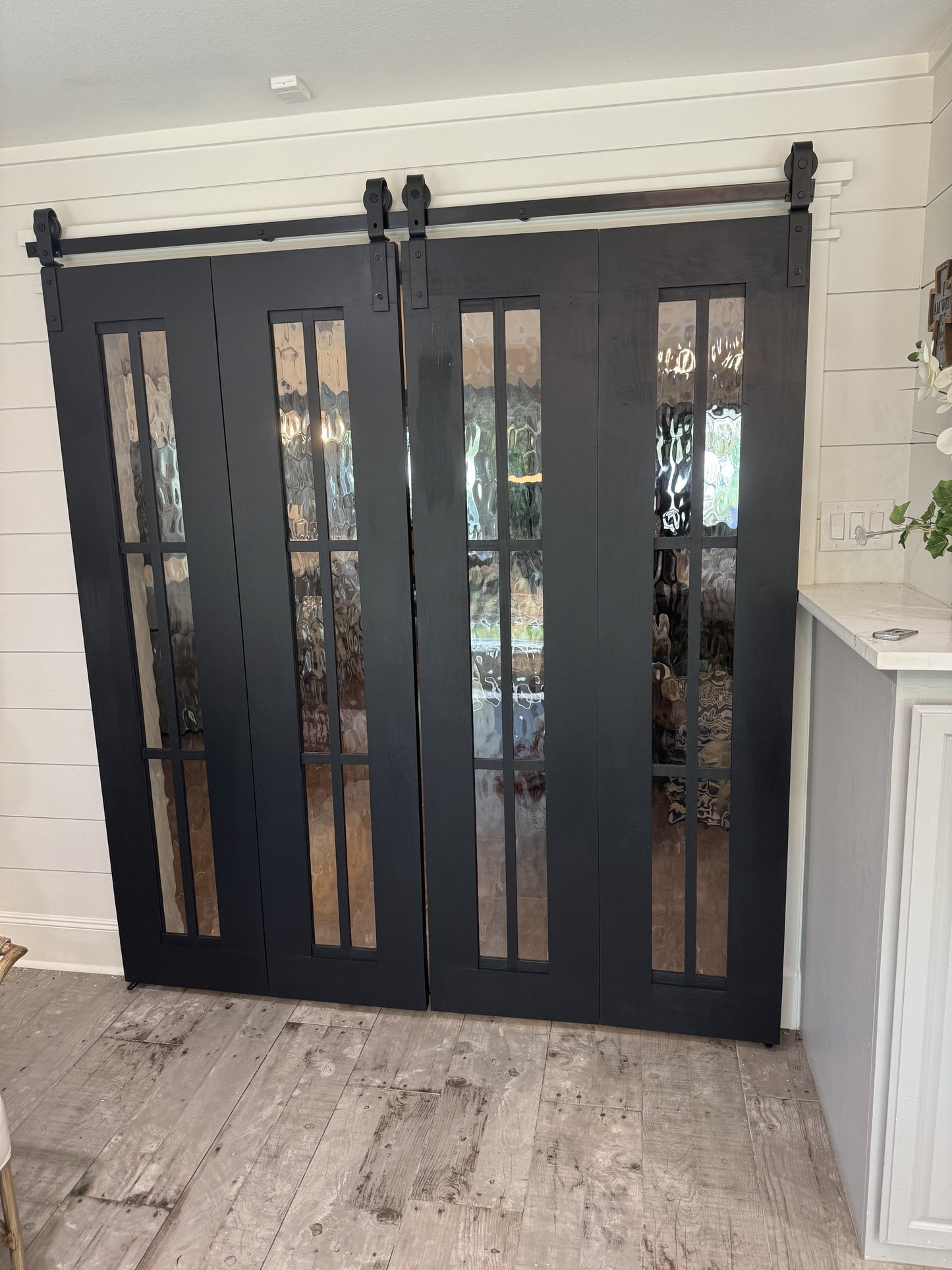 Modern Barn Door with Glass Panels